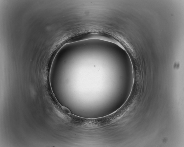 X0000099460489200805091532