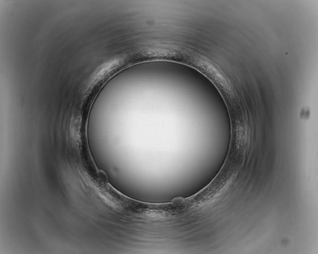 X0000099460490200805091532