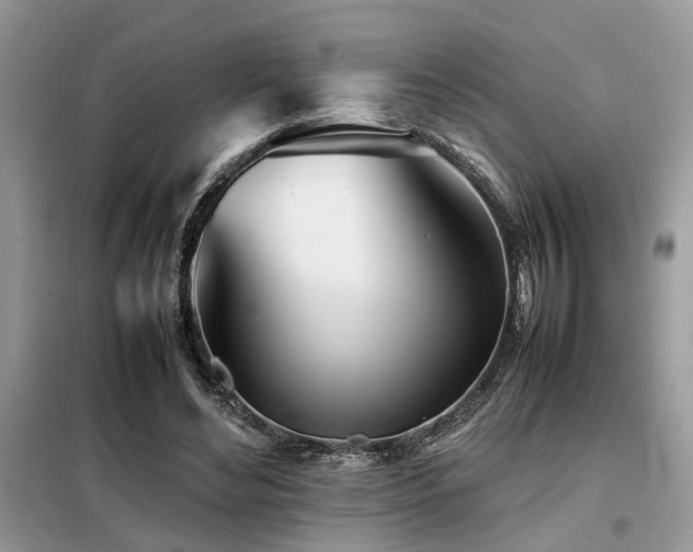X0000099460492200805091532