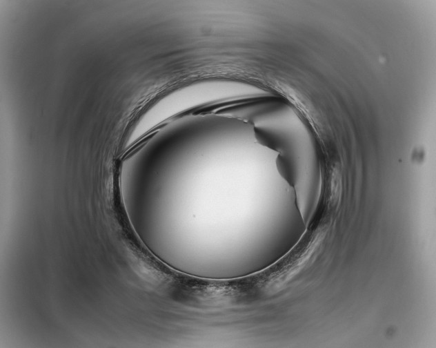 X0000099460493200805091532
