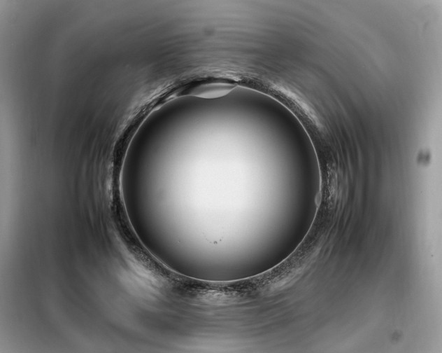 X0000099460494200805091532