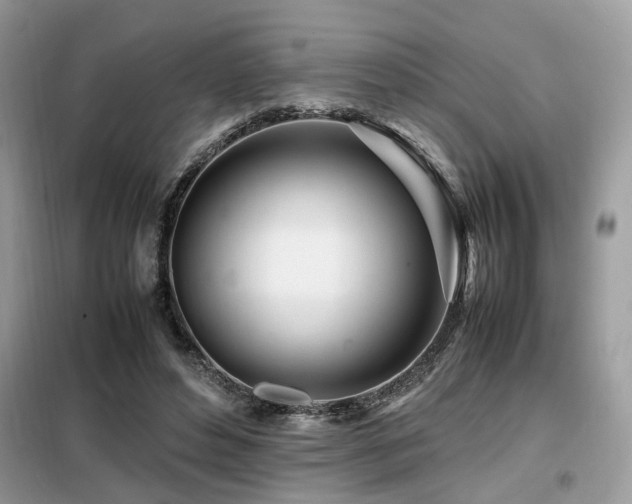 X0000099460496200805091532