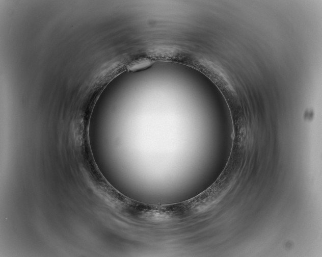 X0000099460498200805091532