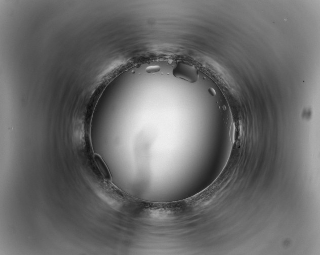 X0000099460500200805091532