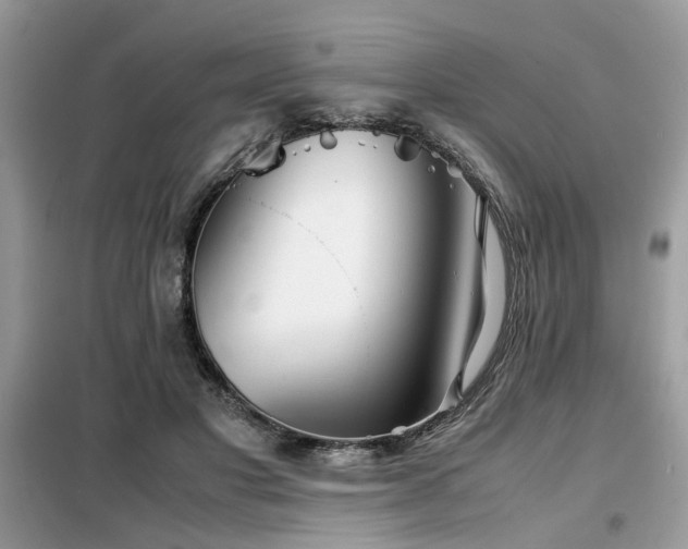 X0000099460501200805091532