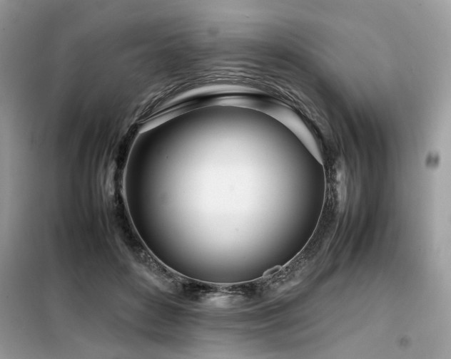 X0000099460504200805091532