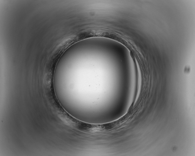 X0000099460505200805091532