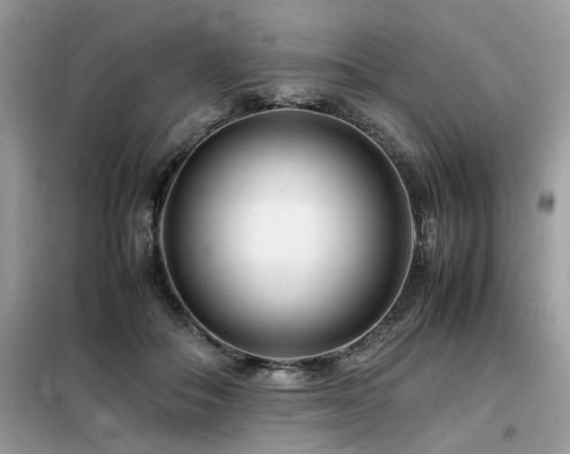 X0000099460506200805091532