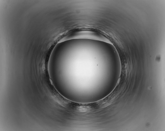 X0000099460508200805091532