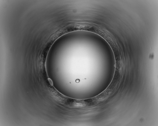 X0000099460510200805091532