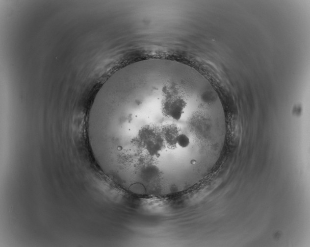 X0000099460511200805091532