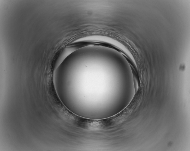 X0000099460513200805091532