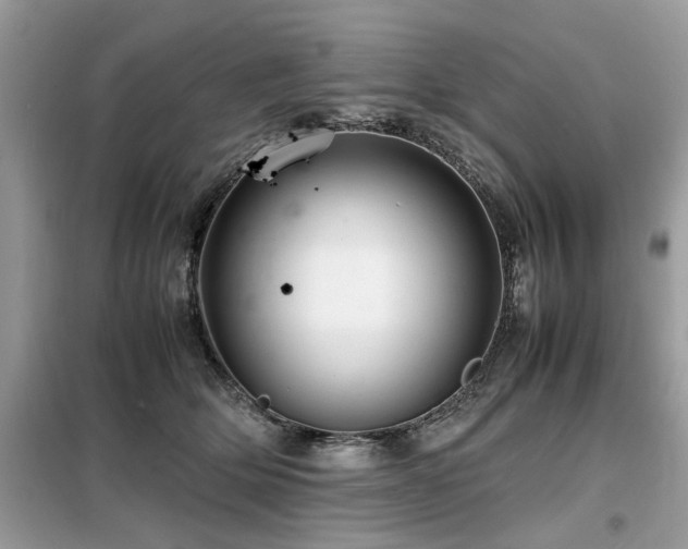 X0000099460514200805091532