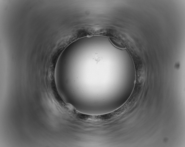 X0000099460515200805091532