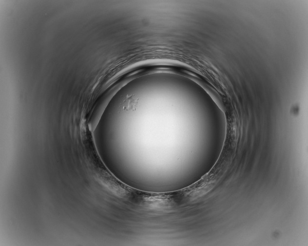 X0000099460516200805091532