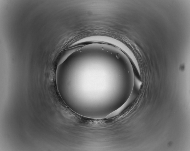 X0000099460517200805091532