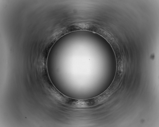 X0000099460518200805091532