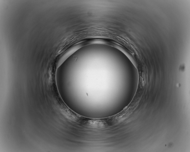 X0000099460520200805091531