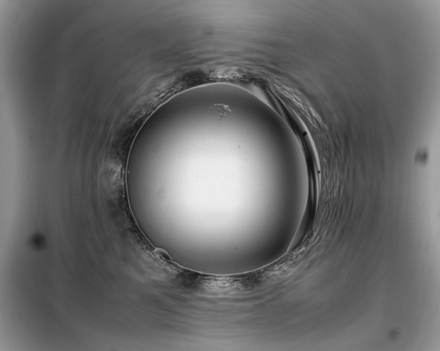 X0000099460521200805091531
