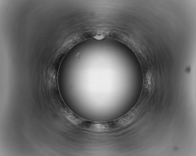 X0000099460522200805091531