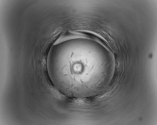 X0000099460523200805091531