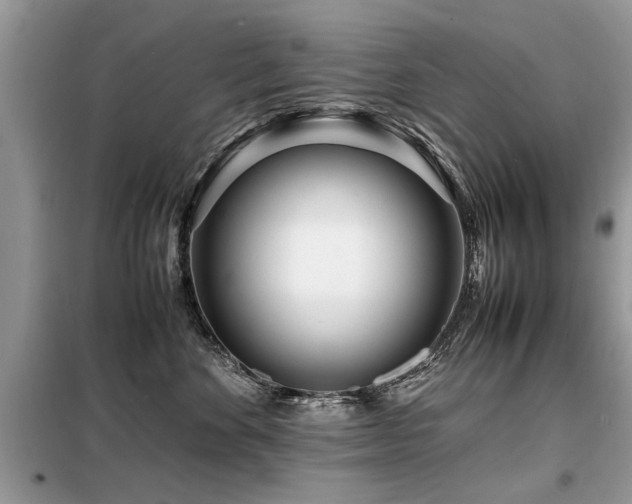 X0000099460524200805091531
