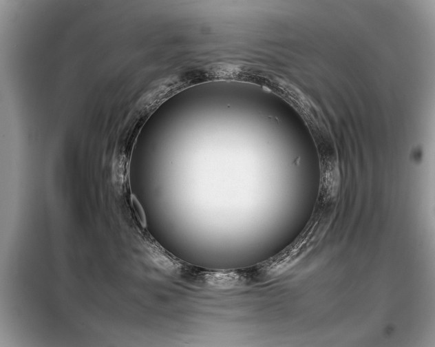 X0000099460525200805091531