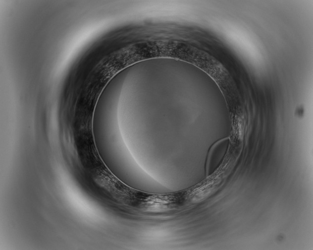 X0000099460526200805091531