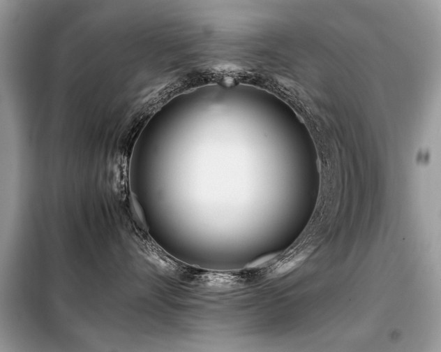 X0000099460528200805091531