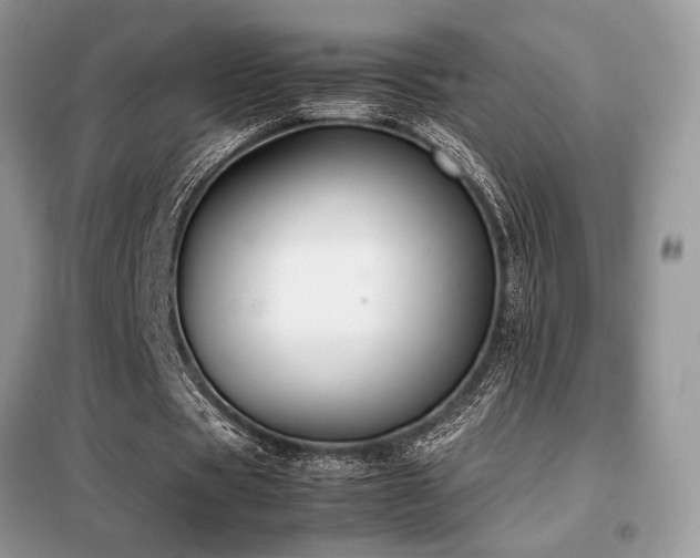 X0000099460529200805091531