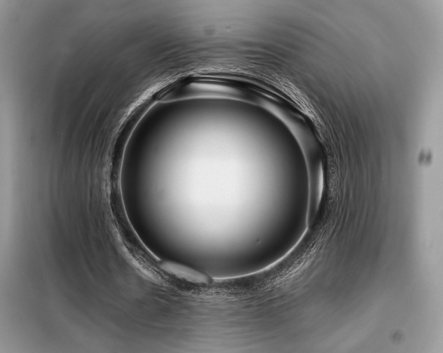 X0000099460530200805091531