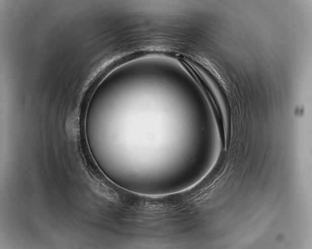 X0000099460531200805091531
