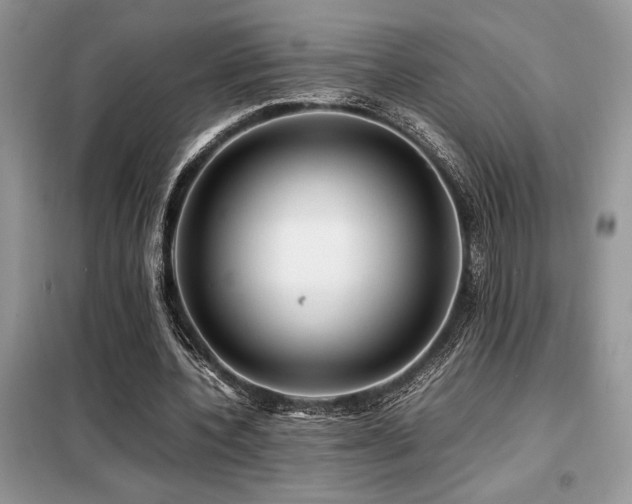 X0000099460532200805091531