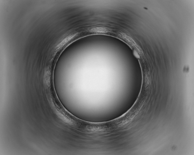 X0000099460533200805091531