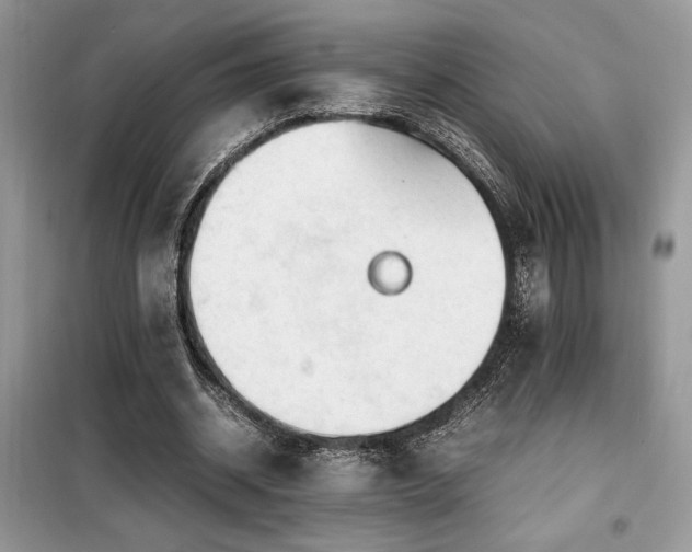 X0000099460534200805091531