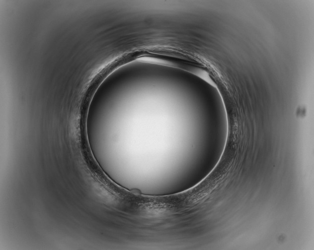 X0000099460535200805091531