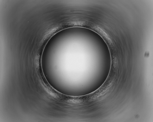 X0000099460537200805091531