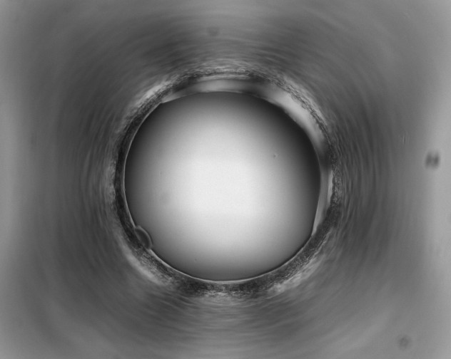 X0000099460538200805091531