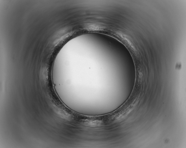 X0000099460539200805091531