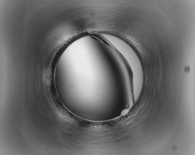 X0000099460540200805091531