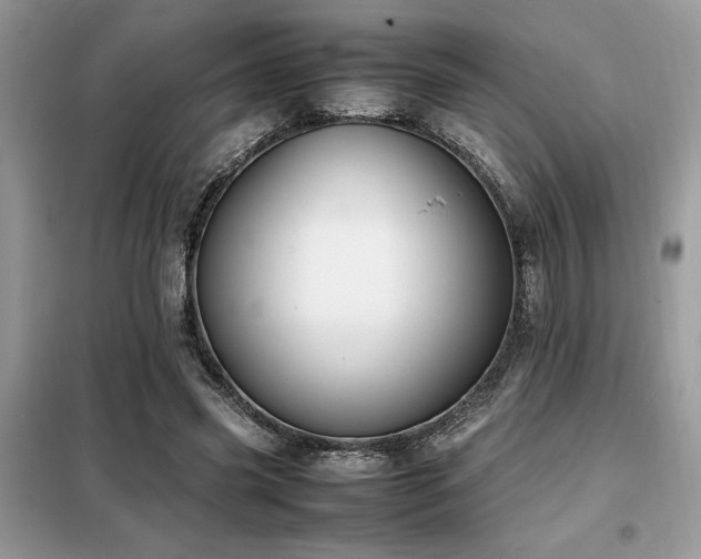X0000099460541200805091531