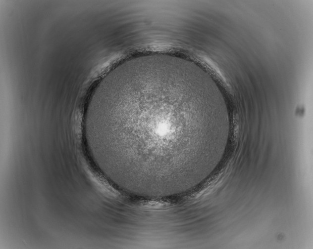 X0000099460542200805091531