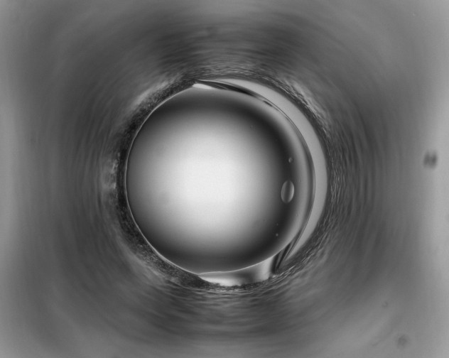 X0000099460543200805091531
