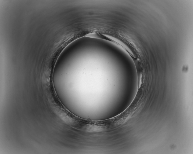 X0000099460545200805091531