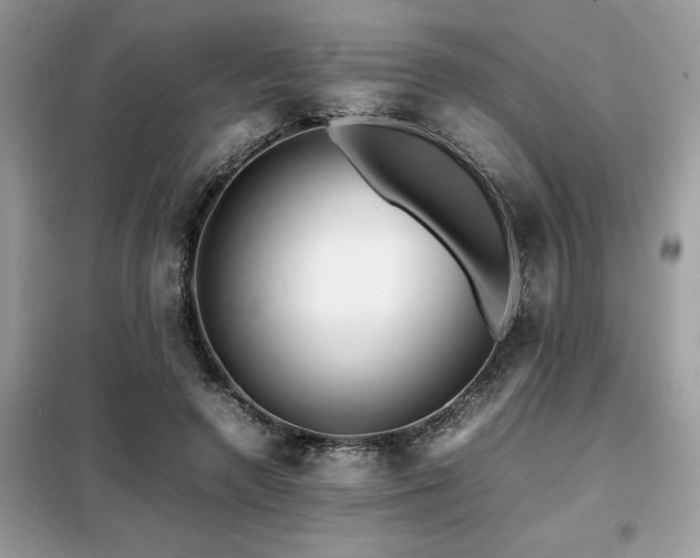 X0000099460546200805091531