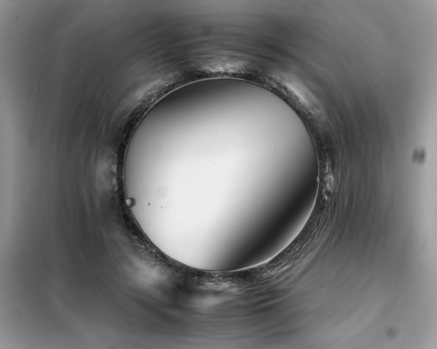 X0000099460547200805091531