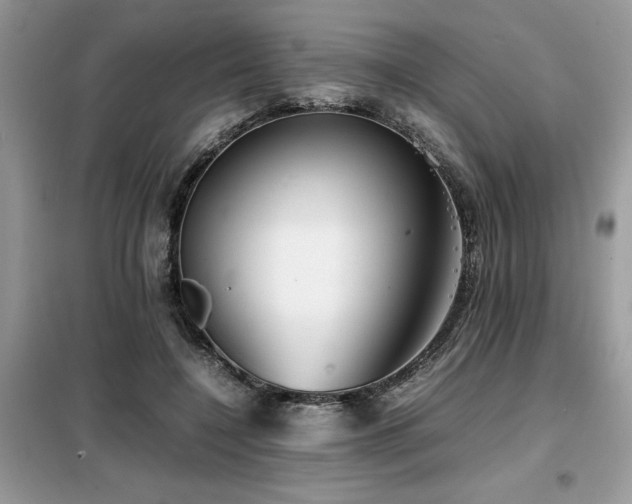 X0000099460548200805091531