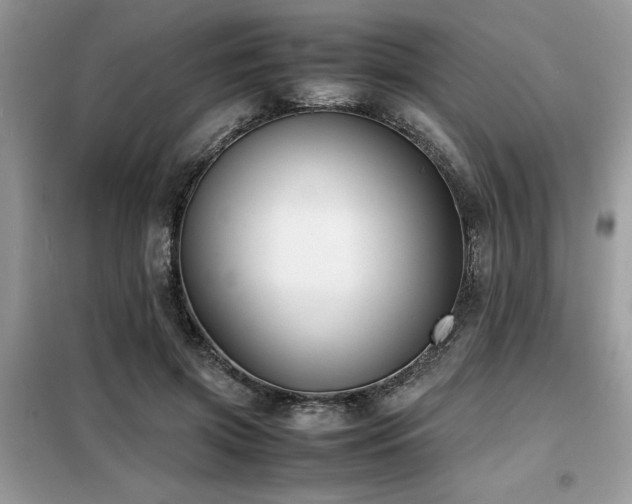 X0000099460549200805091531