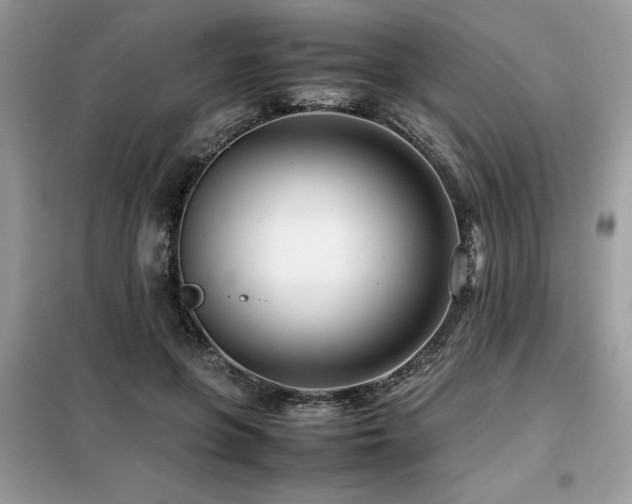 X0000099460551200805091531