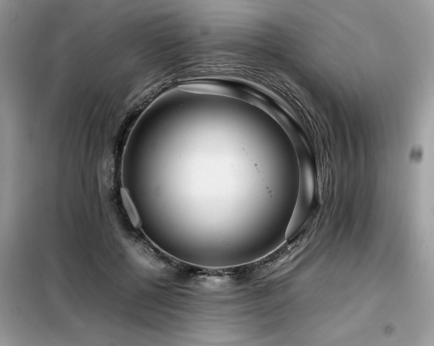 X0000099460552200805091531